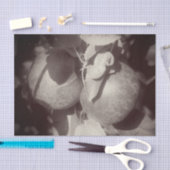 マッキントッシュ白黒ヴィンテージデクページ 薄葉紙 (クラフト)