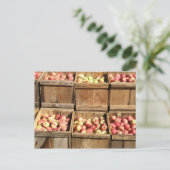 マッキントッシュ・リンゴ・バイ・ザ・クレート ポストカード (スタンド正面)