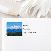 マッキンリーアラスカ山 ラベル (インサイチュ)