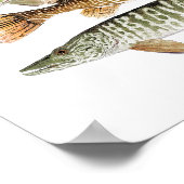 マッキー、パイク、タイガー&ピッケレルII ポスター (角)