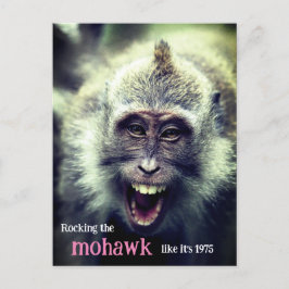 マックおもしろいモンキー写真 シーズンポストカード