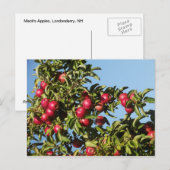 マックのリンゴ ポストカード (正面/裏面)