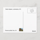 マックのリンゴ ポストカード (裏面)