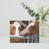 マックスとその息子レオナルド ポストカード (スタンド正面)