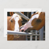 マックスとその息子レオナルド ポストカード (正面/裏面)