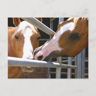 マックスとその息子レオナルド ポストカード