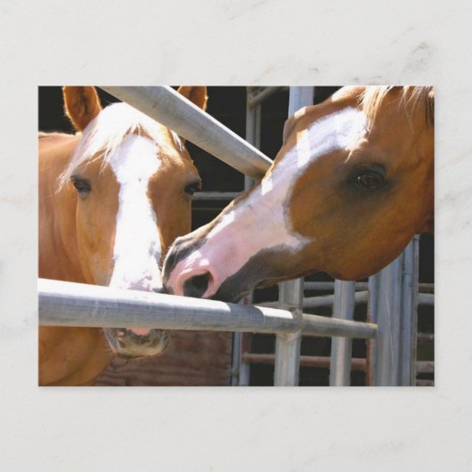 マックスとその息子レオナルド ポストカード (正面)