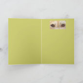 マックスとミスター・チップムンクのカード カード (内部)