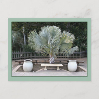 マックスフィールドパリを彷彿させるバルボアパークシーン ポストカード