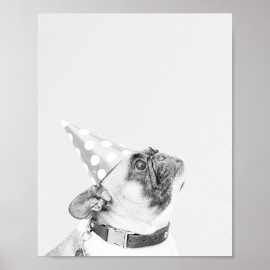 マックス・ザ・ブルフランスのドッグ ポスター (正面)