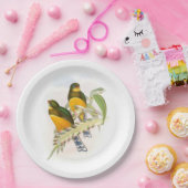 マックロットのトロゴン ペーパープレート (パーティー)