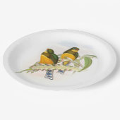 マックロットのトロゴン ペーパープレート (アングル)