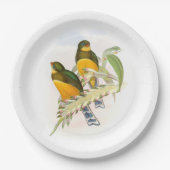 マックロットのトロゴン ペーパープレート (正面)