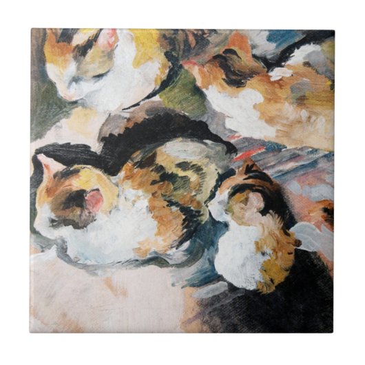 マック威厳があるカ タイル (正面)