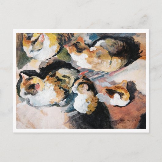 マック威厳があるカ ポストカード (正面)