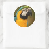 マック ラウンドシール (バッグ)