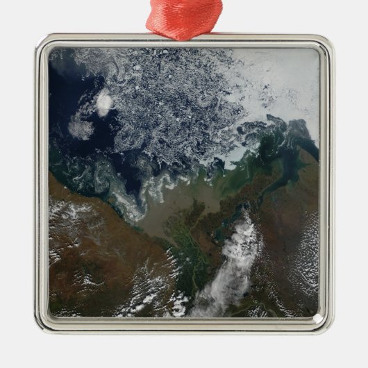 マッケンジー川はマッケンジー湾に注ぐ メタルオーナメント (正面)