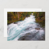 マッケンジー川 |オレゴン ポストカード (正面/裏面)