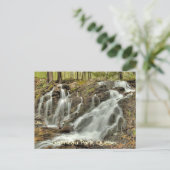 マッケンジー・キング・エステートの秋、ガティノー・パーク。 ポストカード (スタンド正面)