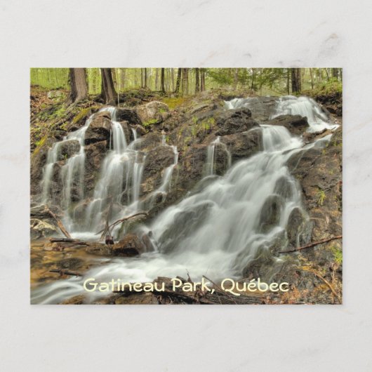 マッケンジー・キング・エステートの秋、ガティノー・パーク。 ポストカード (正面)