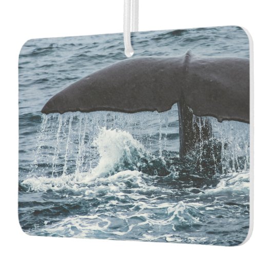 マッコウクジラ カーエアーフレッシュナー (左)