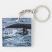 マッコウクジラ キーホルダー (裏面)