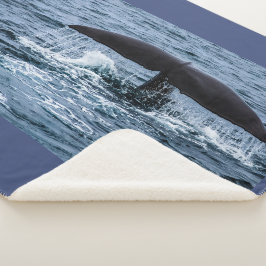 マッコウクジラ シェルパブランケット