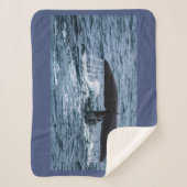 マッコウクジラ シェルパブランケット (正面)