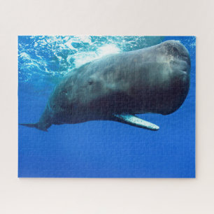 マッコウクジラ ジグソーパズル