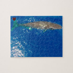 マッコウクジラ ジグソーパズル