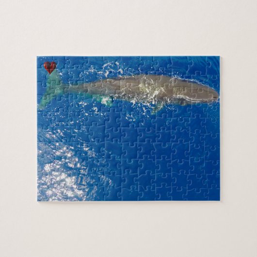 マッコウクジラ ジグソーパズル (横)