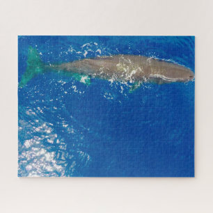 マッコウクジラ ジグソーパズル