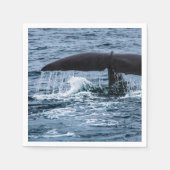 マッコウクジラ スタンダードカクテルナプキン (正面)