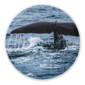 マッコウクジラ セラミックノブ (正面)