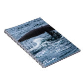 マッコウクジラ ノートブック (右側)