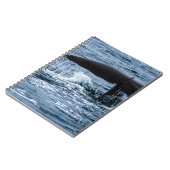 マッコウクジラ ノートブック (左側)