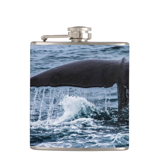 マッコウクジラ フラスク (正面)
