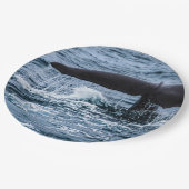 マッコウクジラ ペーパープレート (アングル)