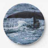 マッコウクジラ ペーパープレート (正面)