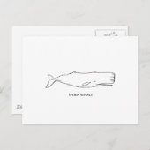 マッコウクジラ（ラインアート） ポストカード (正面/裏面)