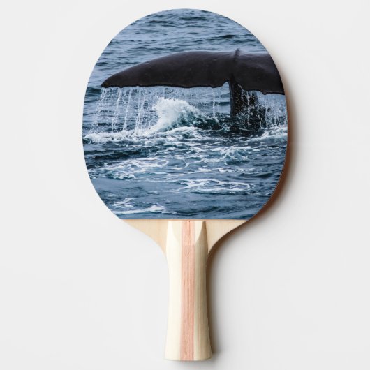 マッコウクジラ 卓球ラケット (裏面)