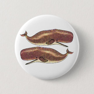 マッコウクジラ 缶バッジ