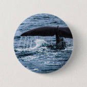 マッコウクジラ 缶バッジ (正面)