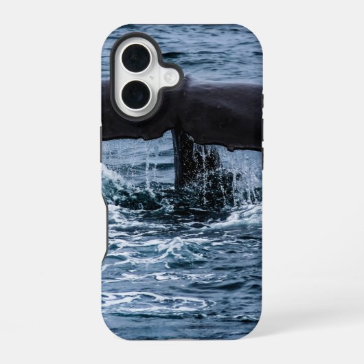 マッコウクジラ iPhone 16ケース (裏面)