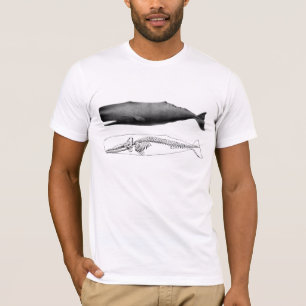 マッコウクジラ Tシャツ