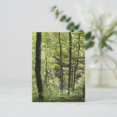 マッコミックのクリーク葉書 ポストカード (スタンド正面)