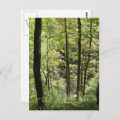 マッコミックのクリーク葉書 ポストカード (正面/裏面)