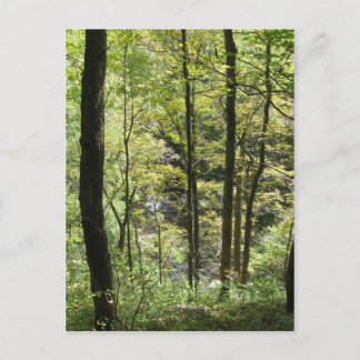 マッコミックのクリーク葉書 ポストカード