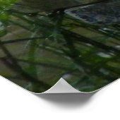 マッサージポスターに座ったアヒルのオーナメント ポスター (角)