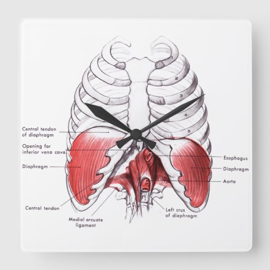 マッサージルームクロック スクエア壁時計 (正面)